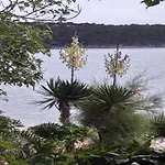 In Near Sandy * Supetarska Draga
