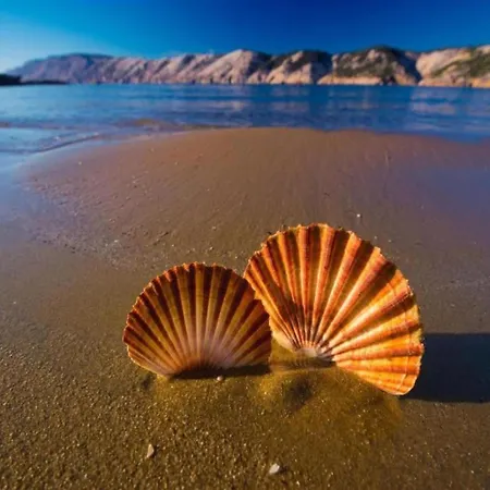 Lejlighed In Near Sandy